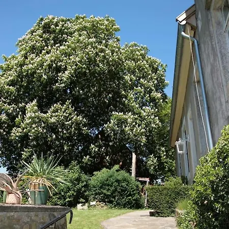 Appartement Haus Keppelborg: Zi Elisabeth Mit Burgmauerblick