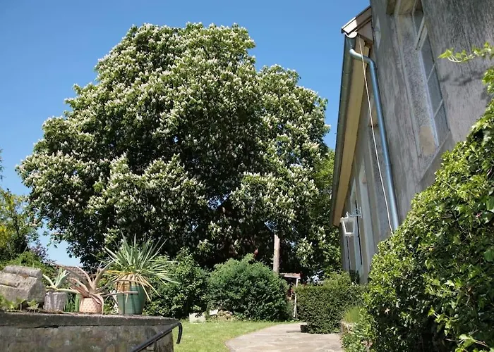 Lejlighed Haus Keppelborg: Zi Elisabeth Mit Burgmauerblick